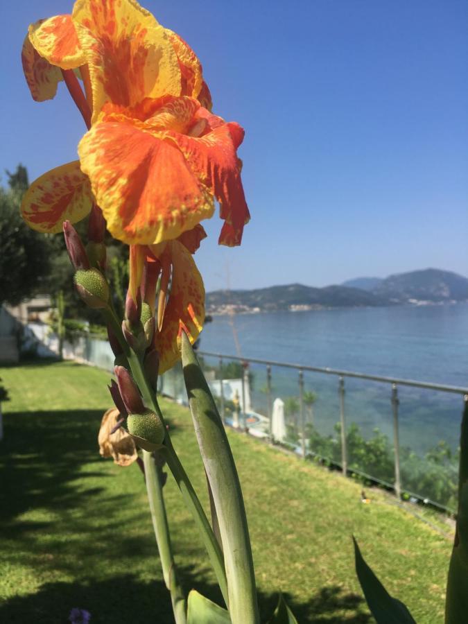 Villa Evita Mesongi Bagian luar foto